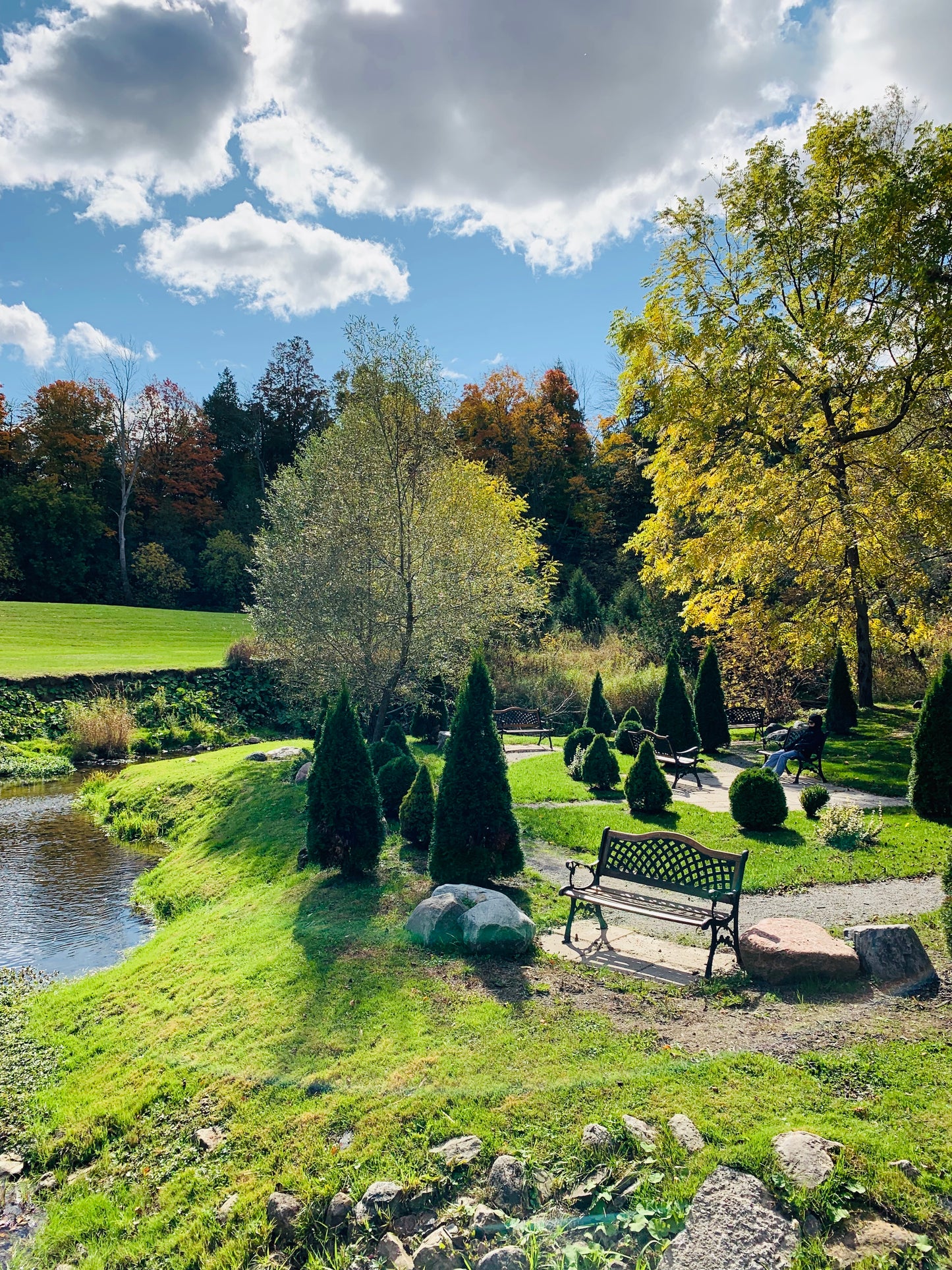 The Midlife Power Shift - Women's 2-Day Wellness Retreat